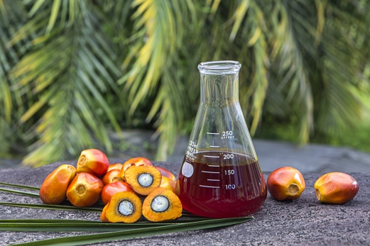 Crude Palm Oil